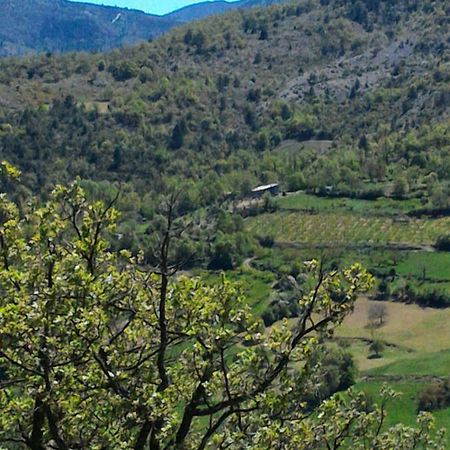 Ferme La Viste Villa La Roche-sur-le-Buis Dış mekan fotoğraf